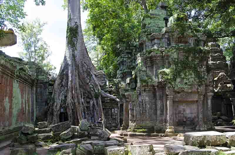 82 - Camboya - Angkor - templo de Ta Prohm